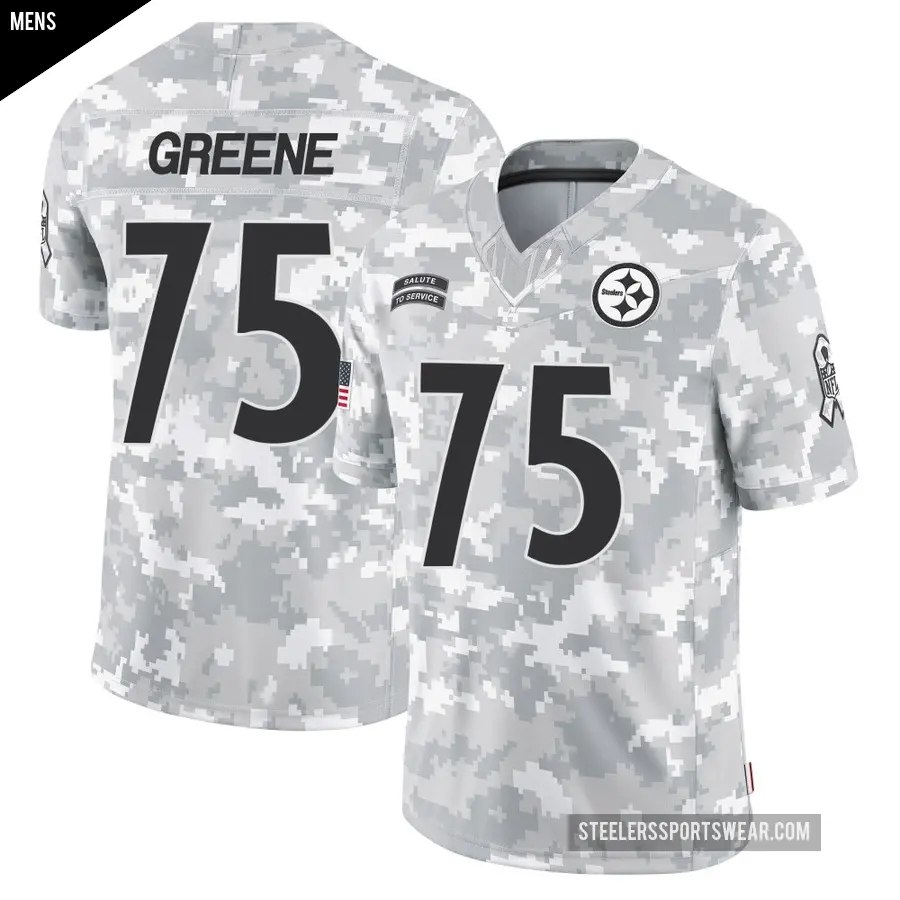 Men's Pittsburgh Steelers ＃75 Joe Greene Arctic Camo Limited 2024 Salute to Service Jersey