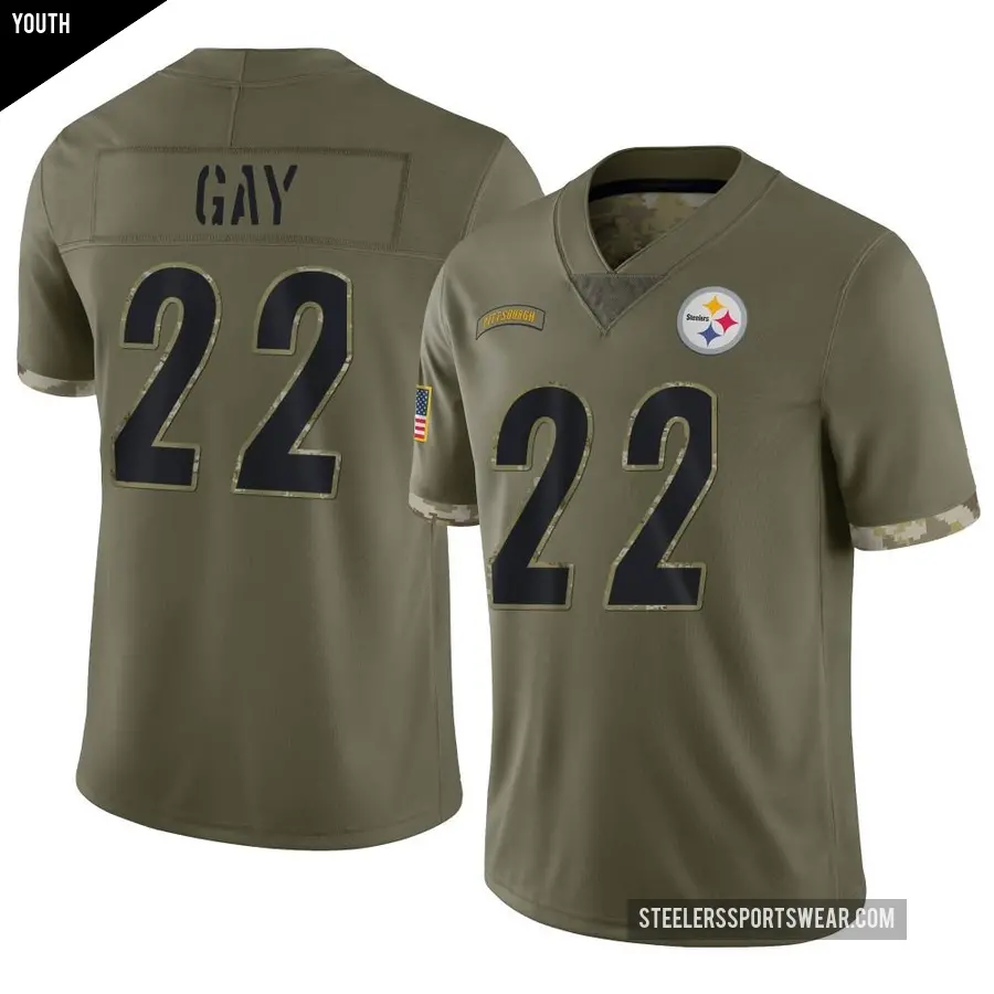 Youth Pittsburgh Steelers ＃22 William Gay Olive Limited 2022 Salute To Service Jersey