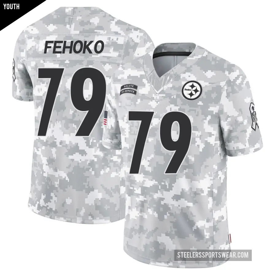 Youth Pittsburgh Steelers ＃79 Breiden Fehoko Arctic Camo Limited 2024 Salute to Service Jersey